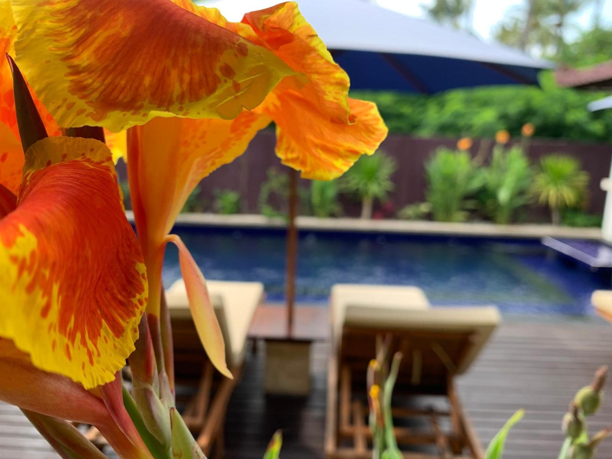 Relax Villas Gili Air Exterior foto